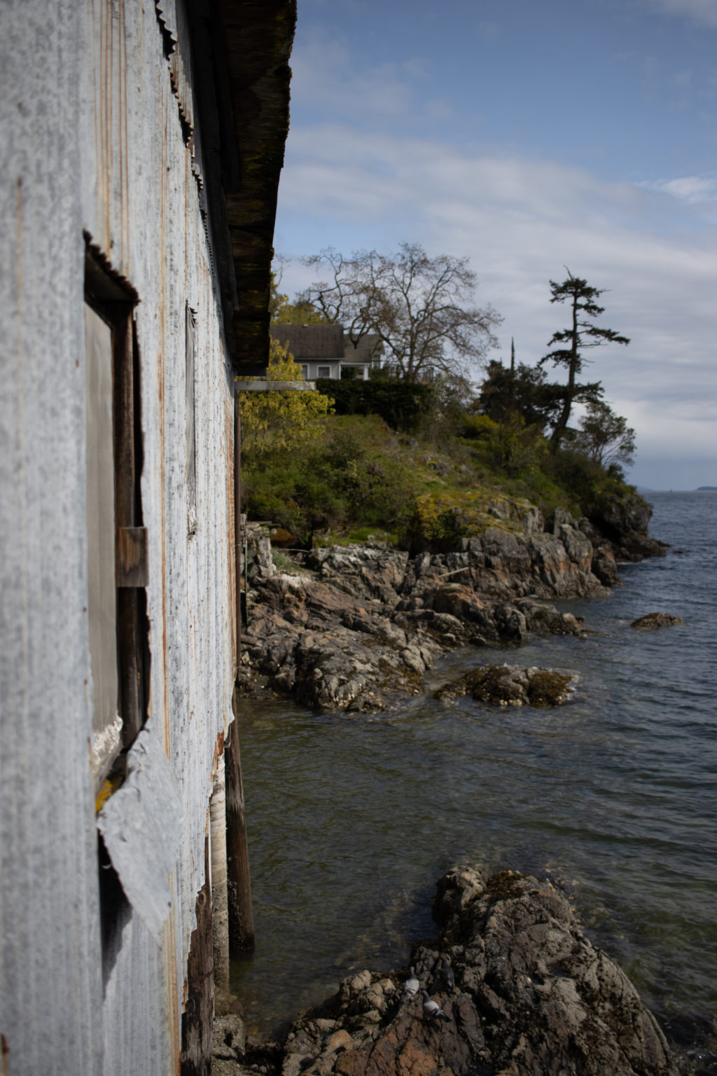Metal shed on rocks on Salt Spring Island B.C., Pacific ocean and rocky shoreline with trees in background.