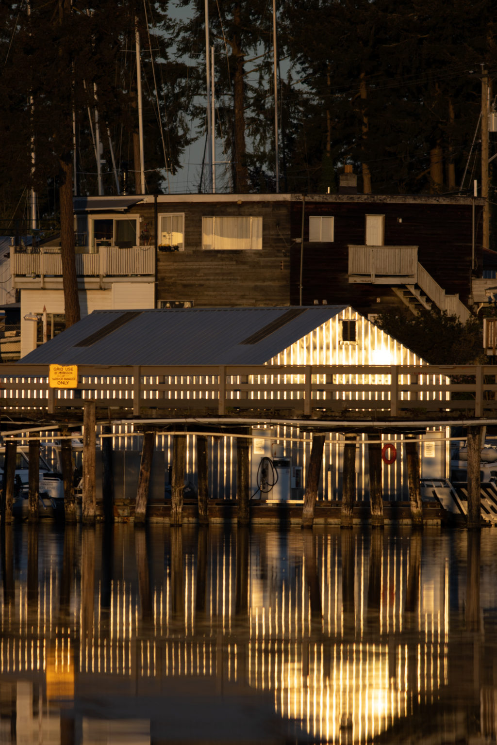 Metal boat house with evening sun reflecting off it and the reflection, evergreen trees in the background, Pacific ocean in foreground.